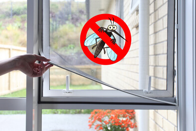 PLASE ANTI INSECTE